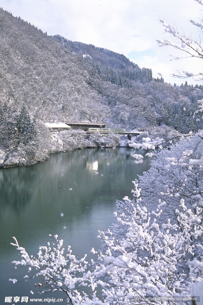 雪景