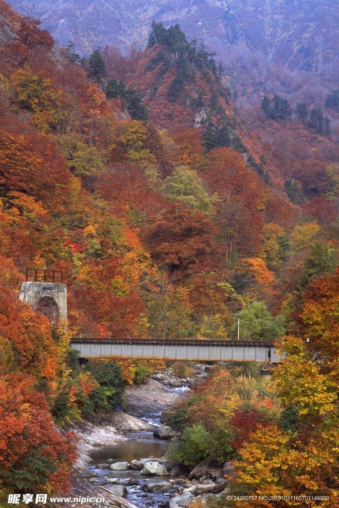 高山河流