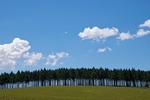 天空背景图 天空素材 云背景