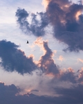 天空背景图 天空素材 云背景