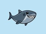 鲨鱼
