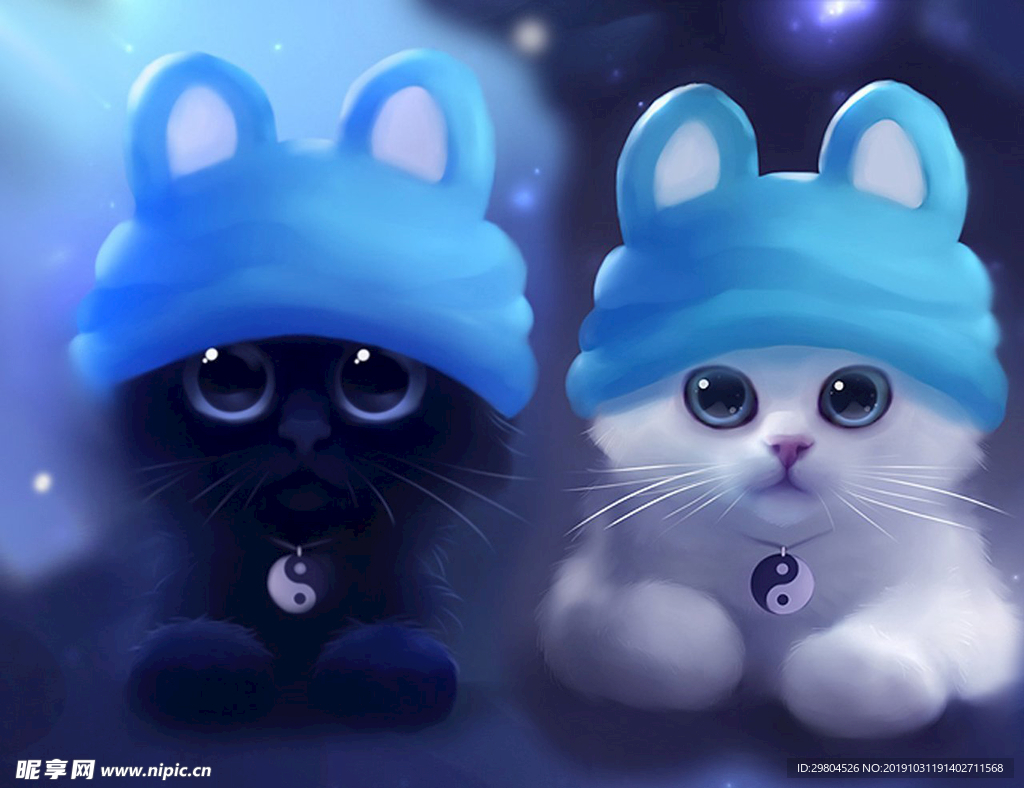 猫壁纸
