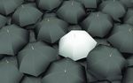 商务 职场 雨伞 企业文化