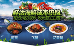 螃蟹海报