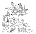 线描荷花