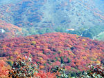 舞彩浅山