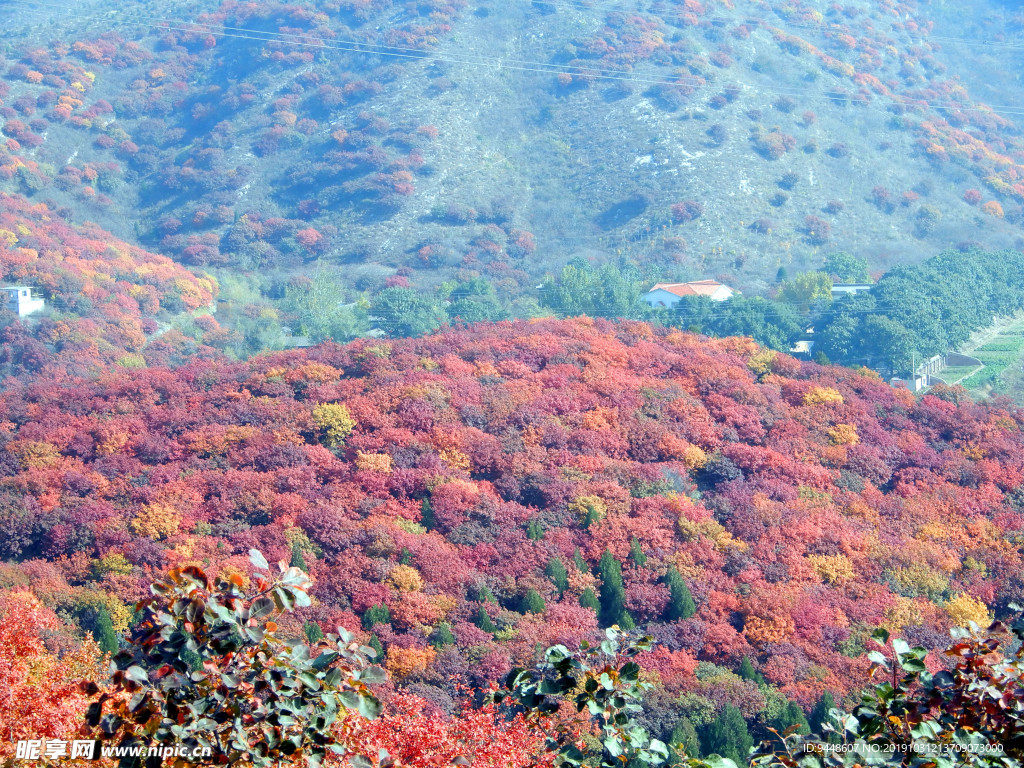 舞彩浅山