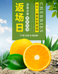 橙子