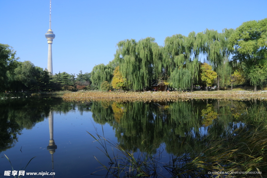 玉渊潭风景