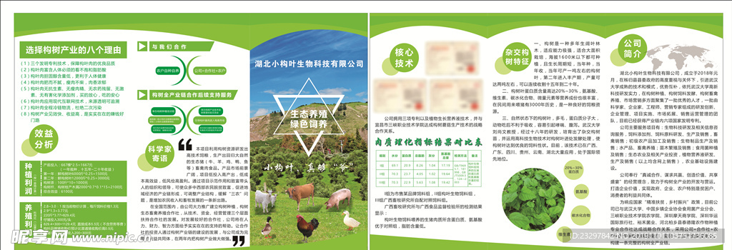 三折页