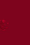 中国风传统龙花纹