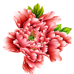 中国风传统花纹图案