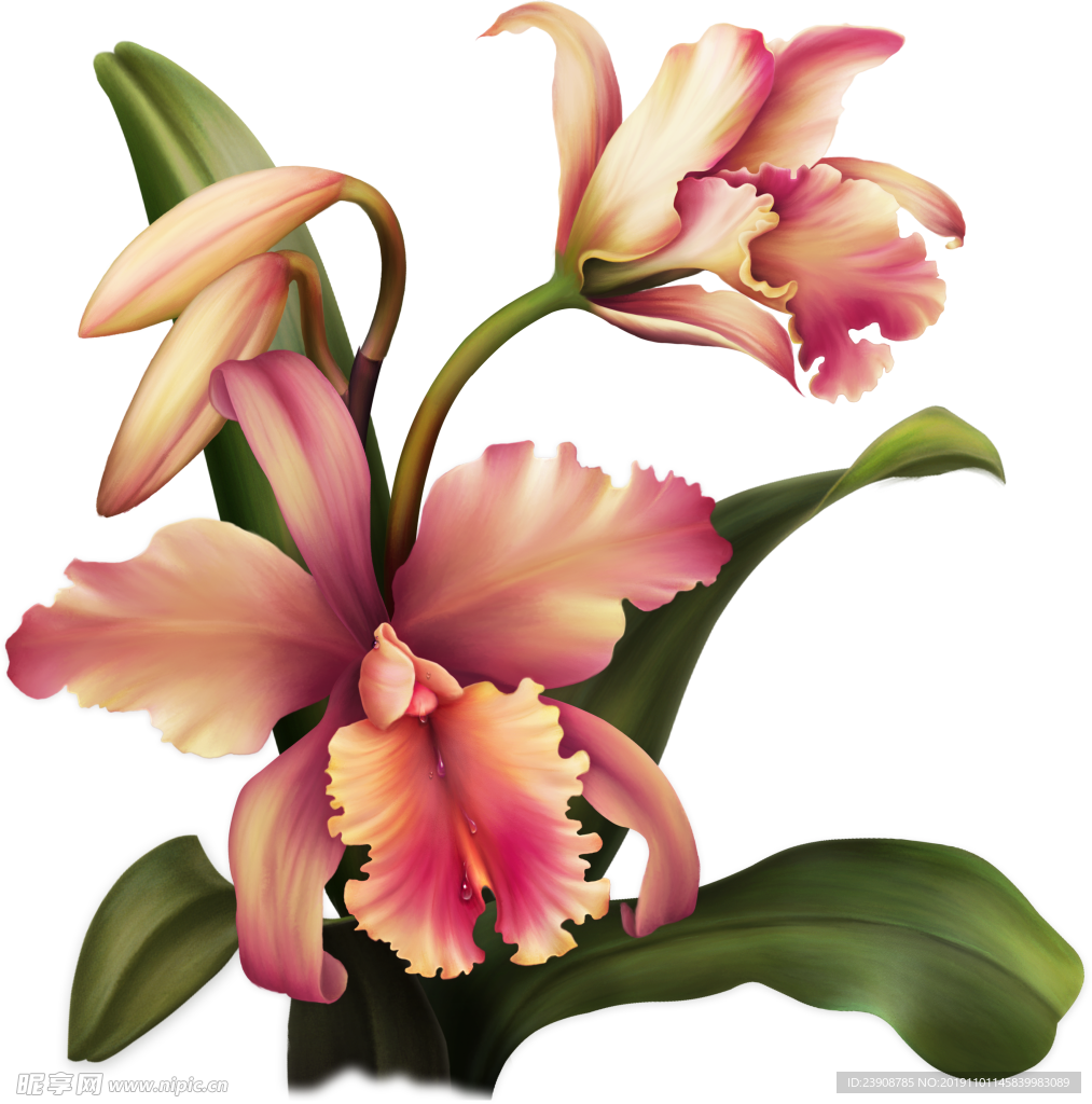 花