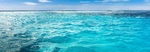海水