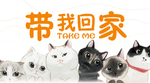 带我回家 领养