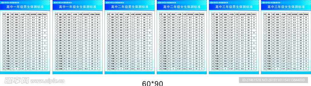 国家高中生体质健康标准表