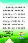 语录海报