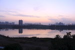 城市