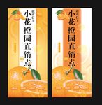 脐橙 展架