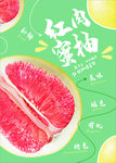柚子海报