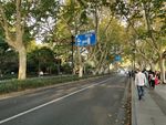 马路