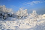 雪景图片