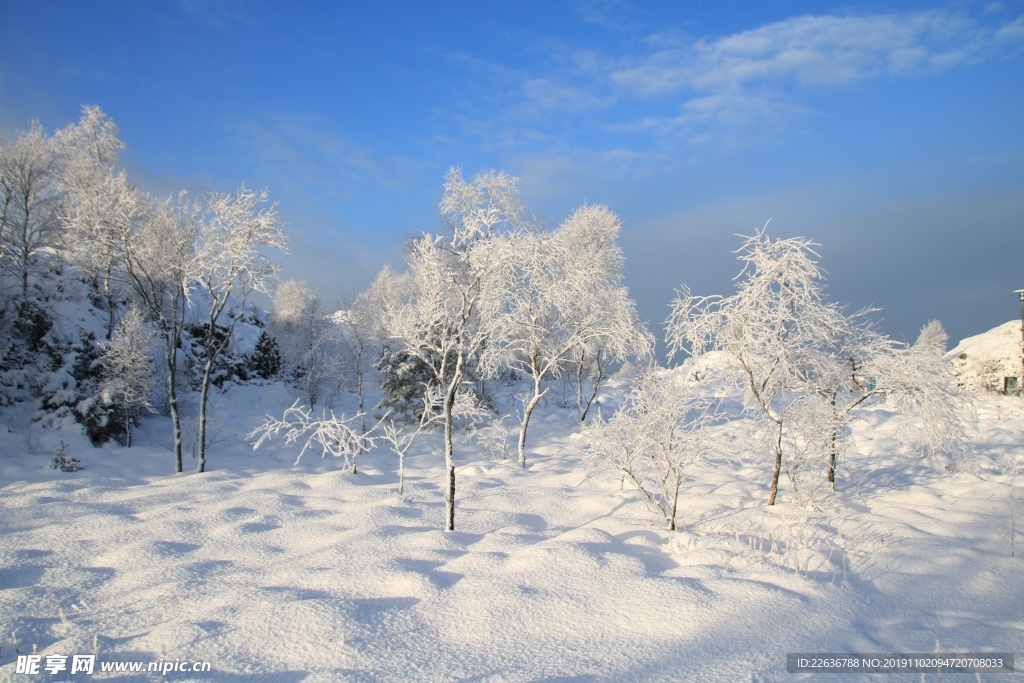 雪景图片