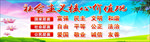社会主义   核心价值观