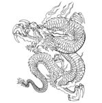 AI矢量龙