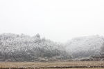 农村山间雪景的风景