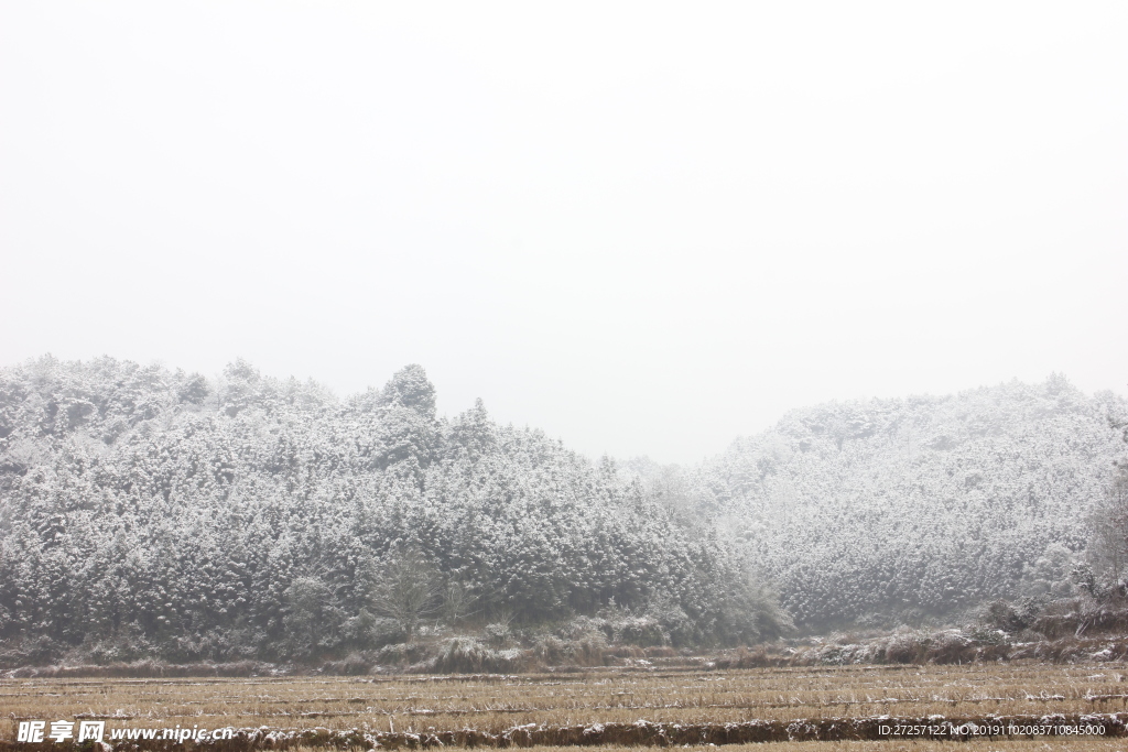 农村山间雪景的风景