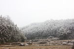山林间的田野
