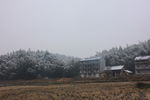 雪景田野乡村