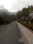 宜兴园林风景