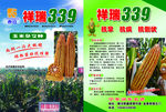 祥瑞339