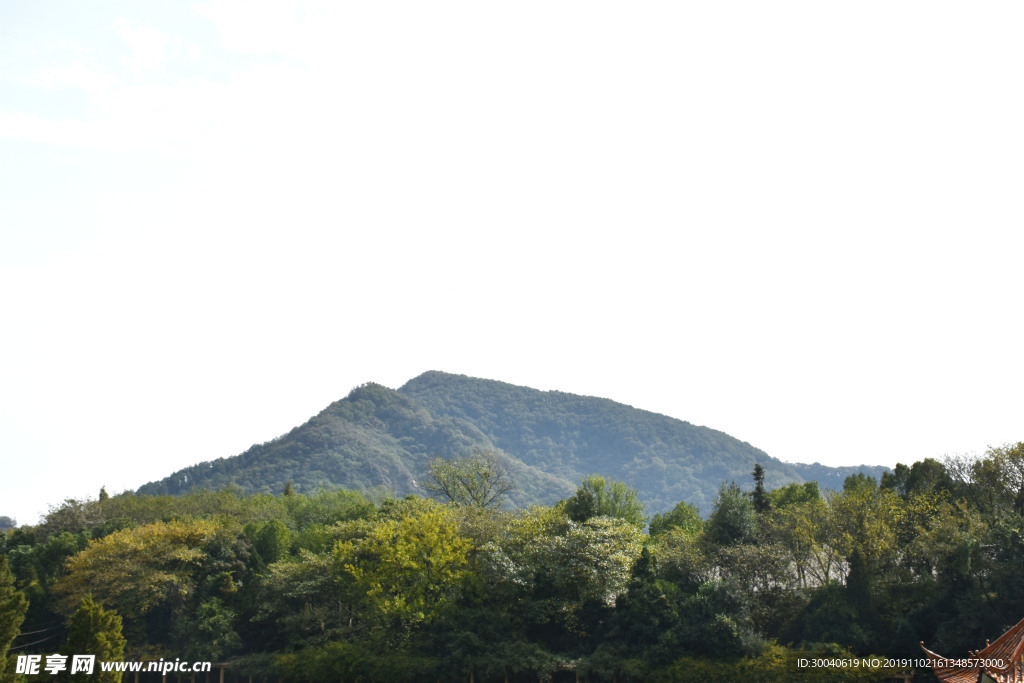 山