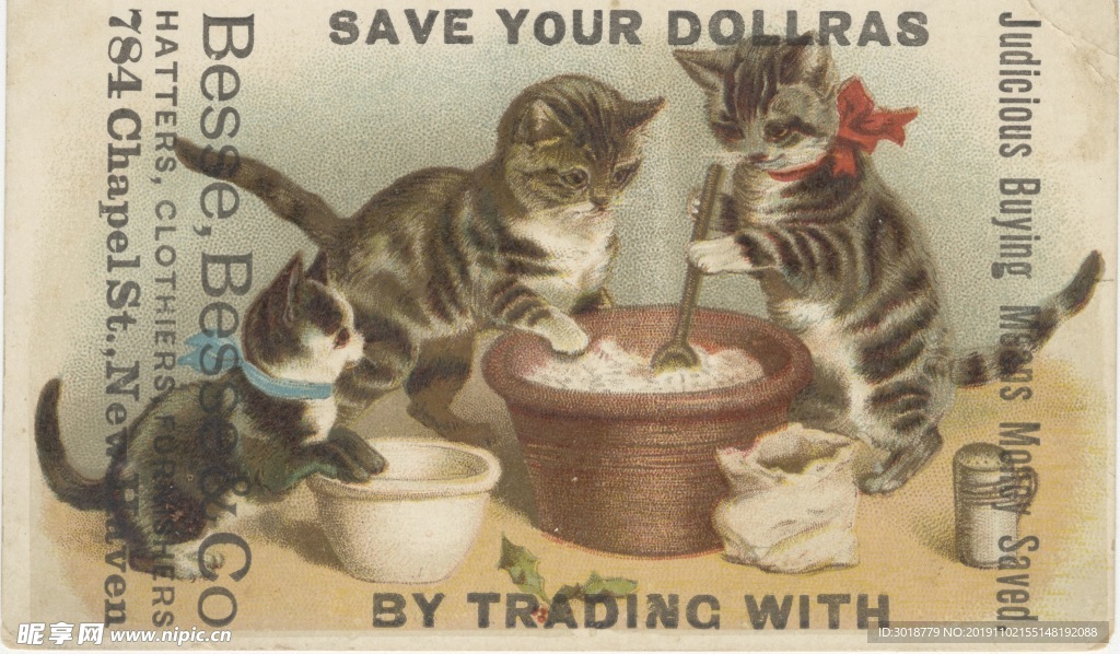 猫