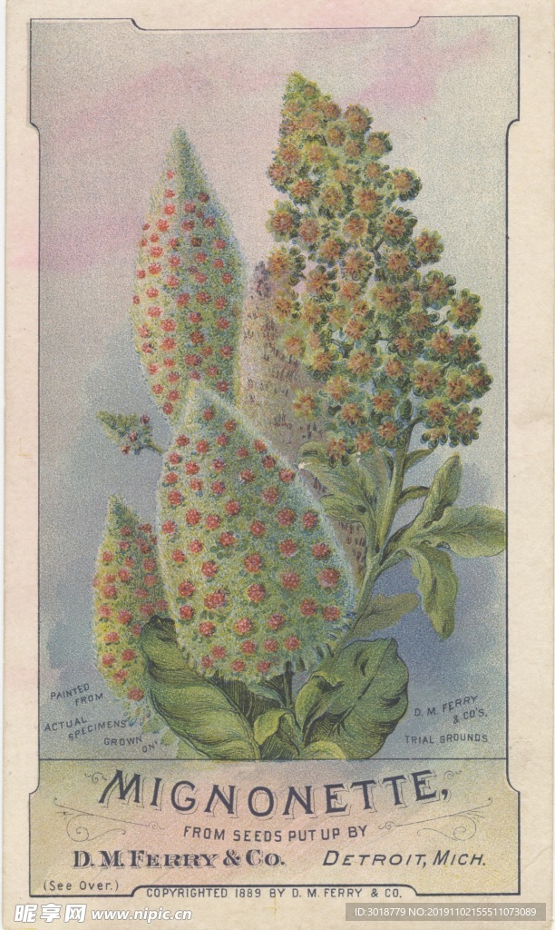 花鸟画
