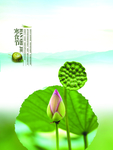 寒食节