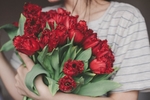 玫瑰花