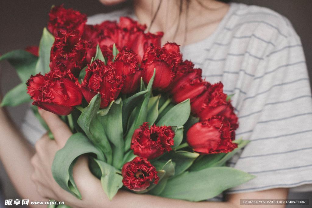 玫瑰花