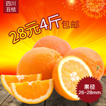 橙子