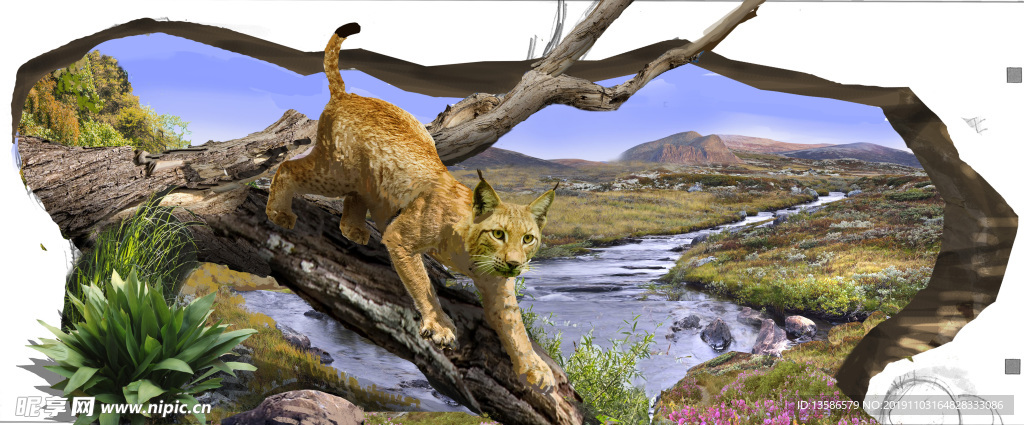 3D画老虎猎豹动物