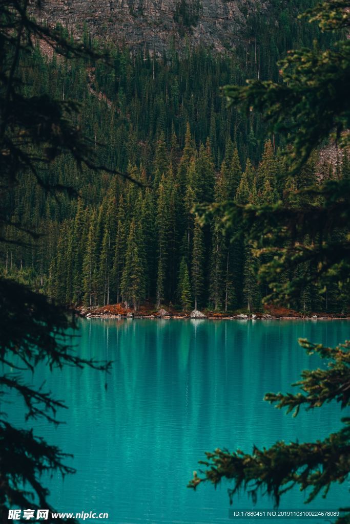 山林与湖水