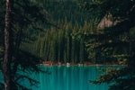 山林与湖水