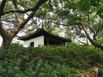公园里的建筑