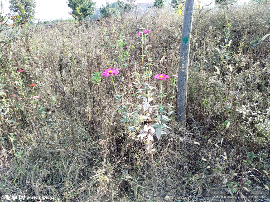 自然风景