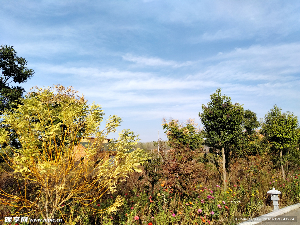 自然风景