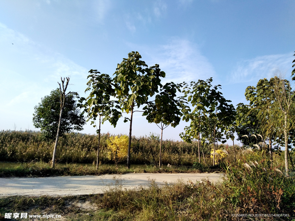 自然风景