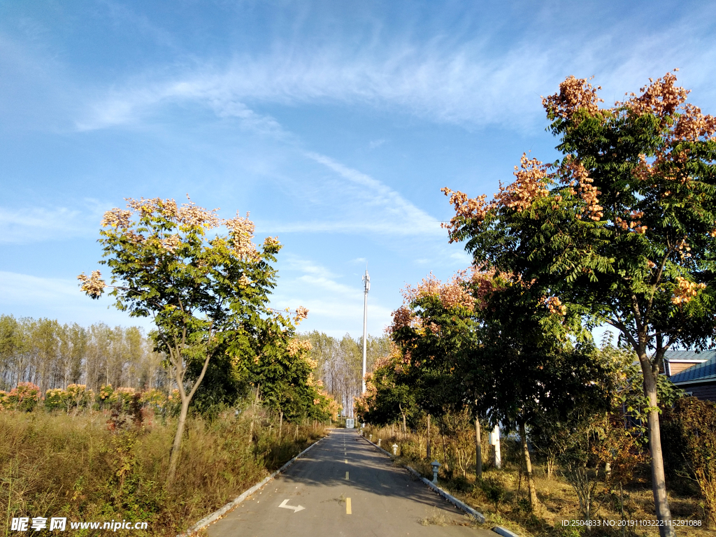 自然风景